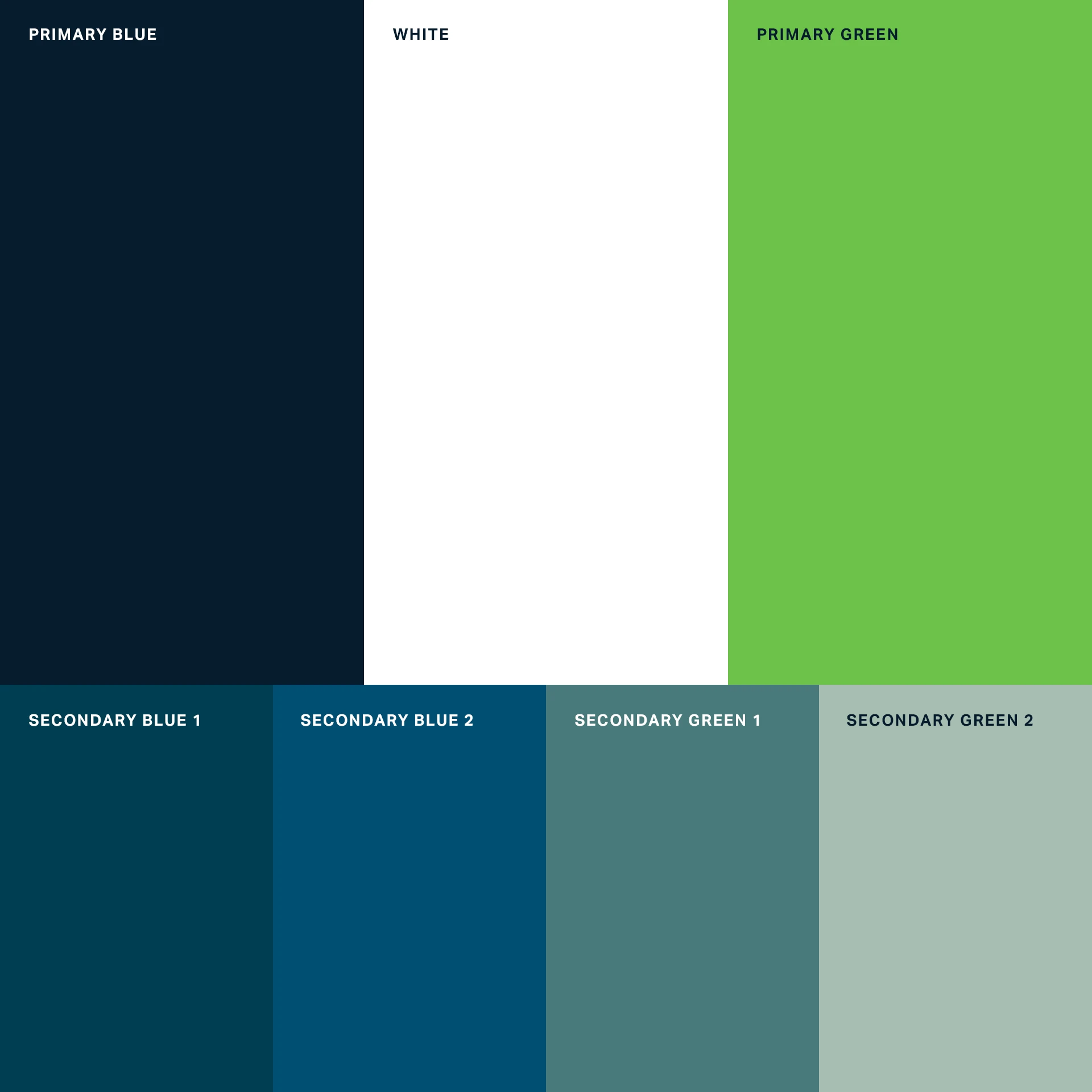 Consigli_VT_Brand_Identity_1920x1920_Core_Colors